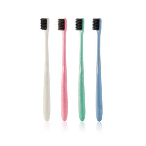 Get your Refresche Soft Bristle Toothbrush here.